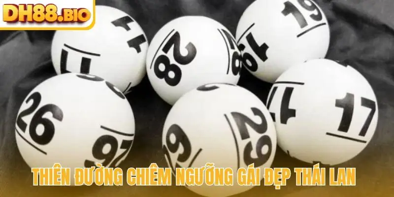 Những chú ý khi soi cầu Miền Trung không thể quên